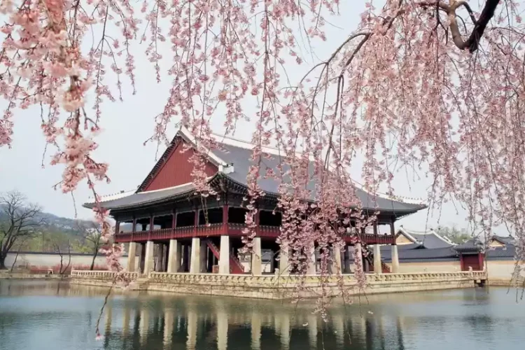 south korea