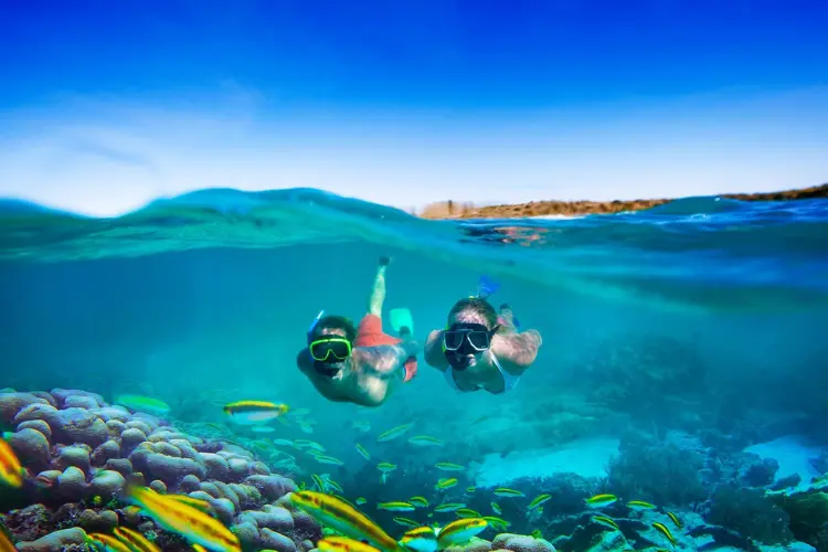 Dive Into The Underwater World